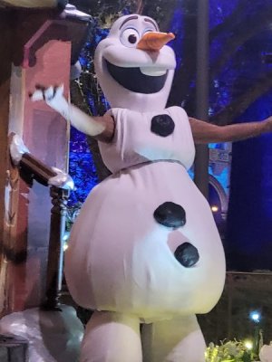 Olaf.jpg