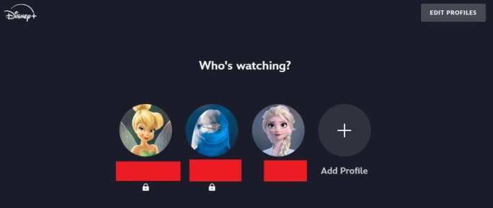 disney+ dashboard.jpg