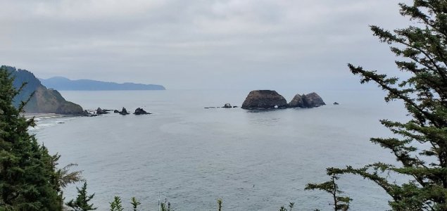 20210825_085544[1].jpg