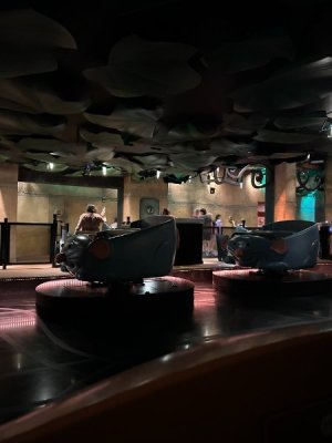 IMG_6652.JPEG