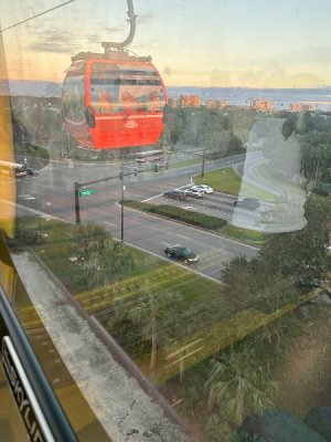 IMG_6654.JPEG