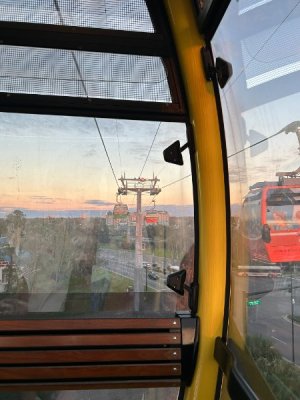 IMG_6655.JPEG