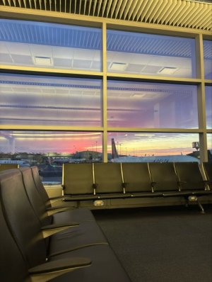 D93E3A1C-CDEE-4396-A1D1-16590775C5C3_1_105_c.jpeg