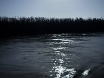 IMG_8681.jpeg IMG_8681.jpeg