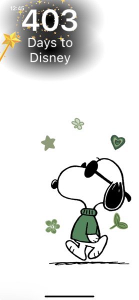 SNOOPY JOE COOL.jpeg