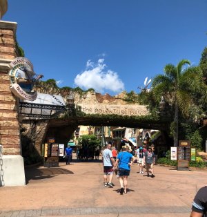 IMG_7956.jpeg