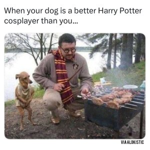 9023754844752061182.jpeg
