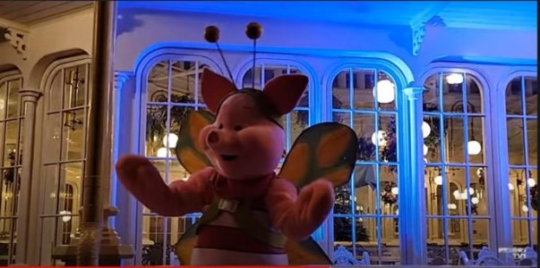 PIGLET BOO BASH SEP 2021.jpg