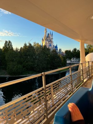 IMG_7968.jpeg