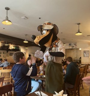 IMG_7972.jpeg