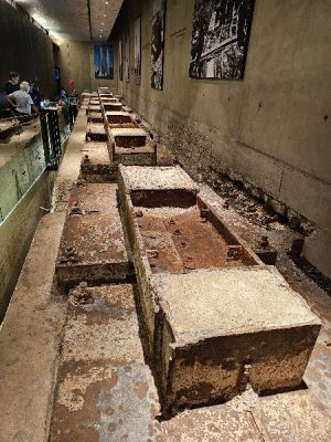 20230511_105934[1].jpg