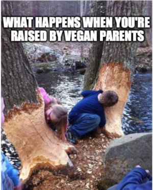 veganParents.jpg