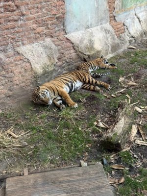 IMG_0865.jpeg