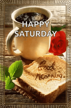 IMG_5094.gif