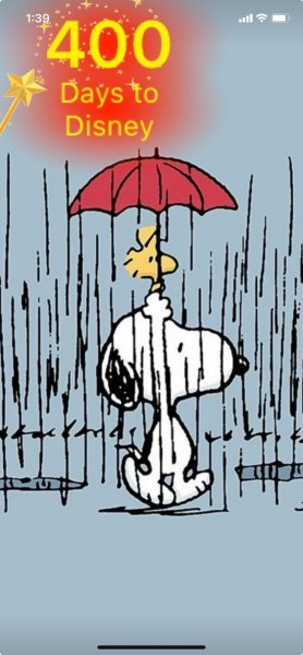 SW UMBRELLA.jpeg