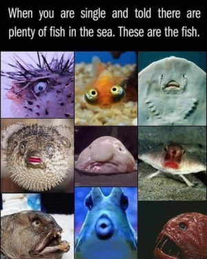 1743282082166.png