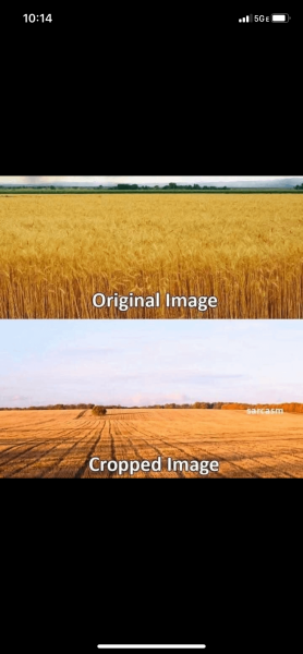 IMG_5861.png