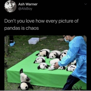1743301426807.png