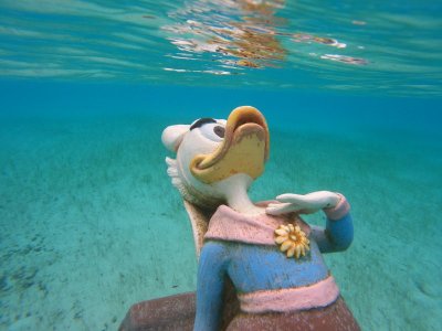 snorkeling.jpeg