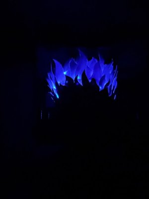 IMG_1070.jpeg