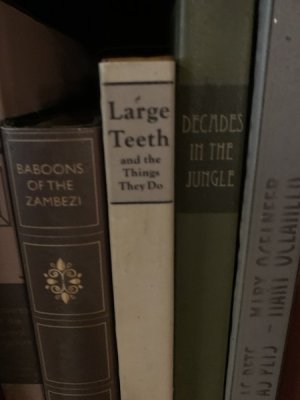 1743372733463.jpeg