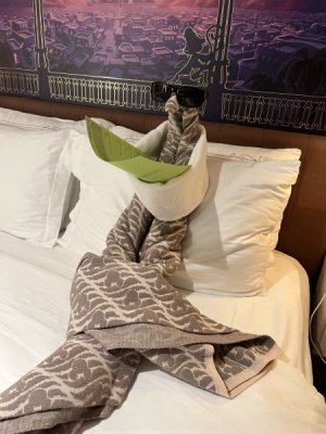 towel animal.jpeg