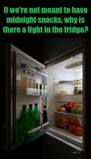 fridge.jpg