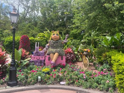 IMG_3830.jpeg