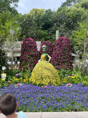 IMG_3828.jpeg