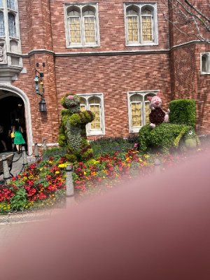 IMG_3825.jpeg