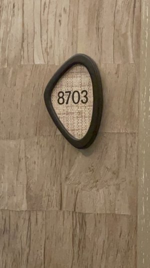 IMG_2293.jpeg