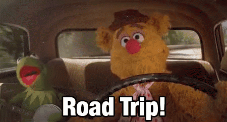 1743527573757.gif