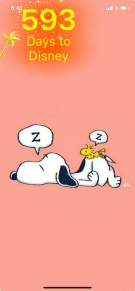 SW ZZZZZ.jpeg