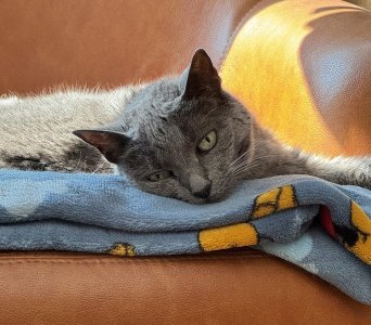 IMG_3441.jpeg