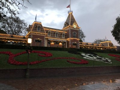 IMG_1549.jpeg