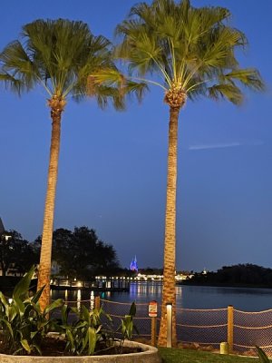 IMG_2375 (1).jpeg
