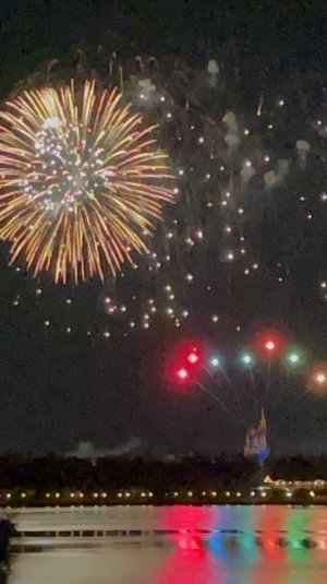IMG_2388.jpeg