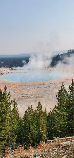 20210908_101344[1].jpg