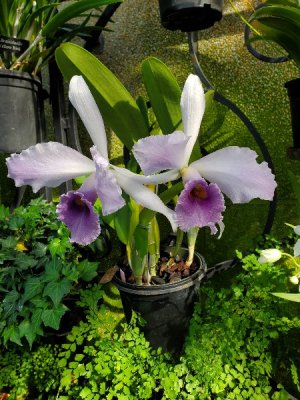 20191111_122223[1].jpg