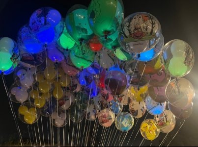 IMG_7313.jpeg