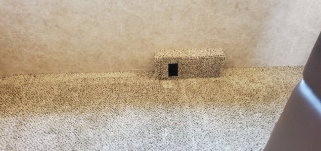 20250309_133430.jpg