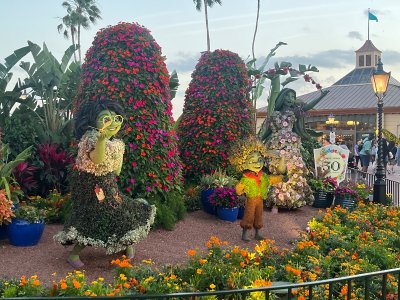 IMG_3954.jpeg