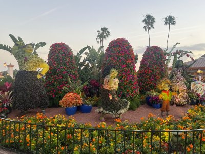 IMG_3955.jpeg