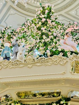 IMG_2025-04-05-122743.jpg