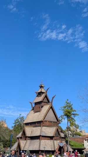 PXL_20250124_164545550.jpg