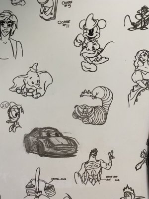 IMG_3267.jpeg