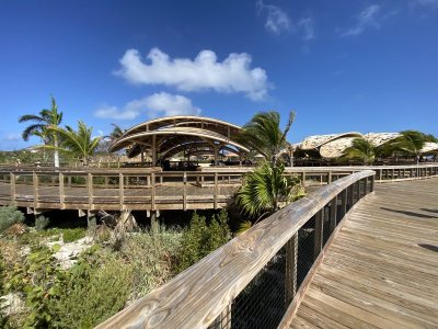 IMG_3336.jpeg