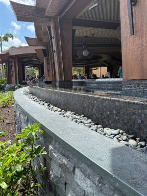 IMG_0875.jpeg