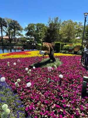 IMG_9736.jpeg