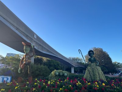 IMG_9709.jpeg